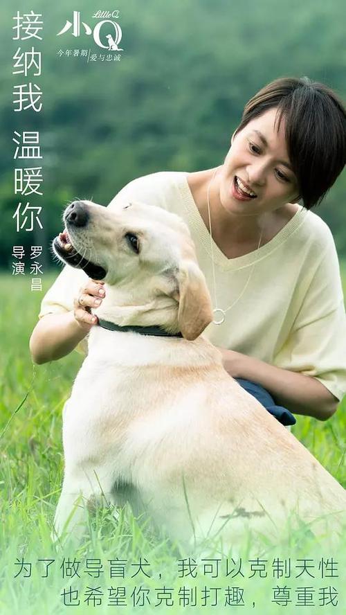 怎么做假意大利护照电子版